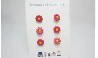 Marguerites roses