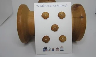 Coquilles Saint-Jacques